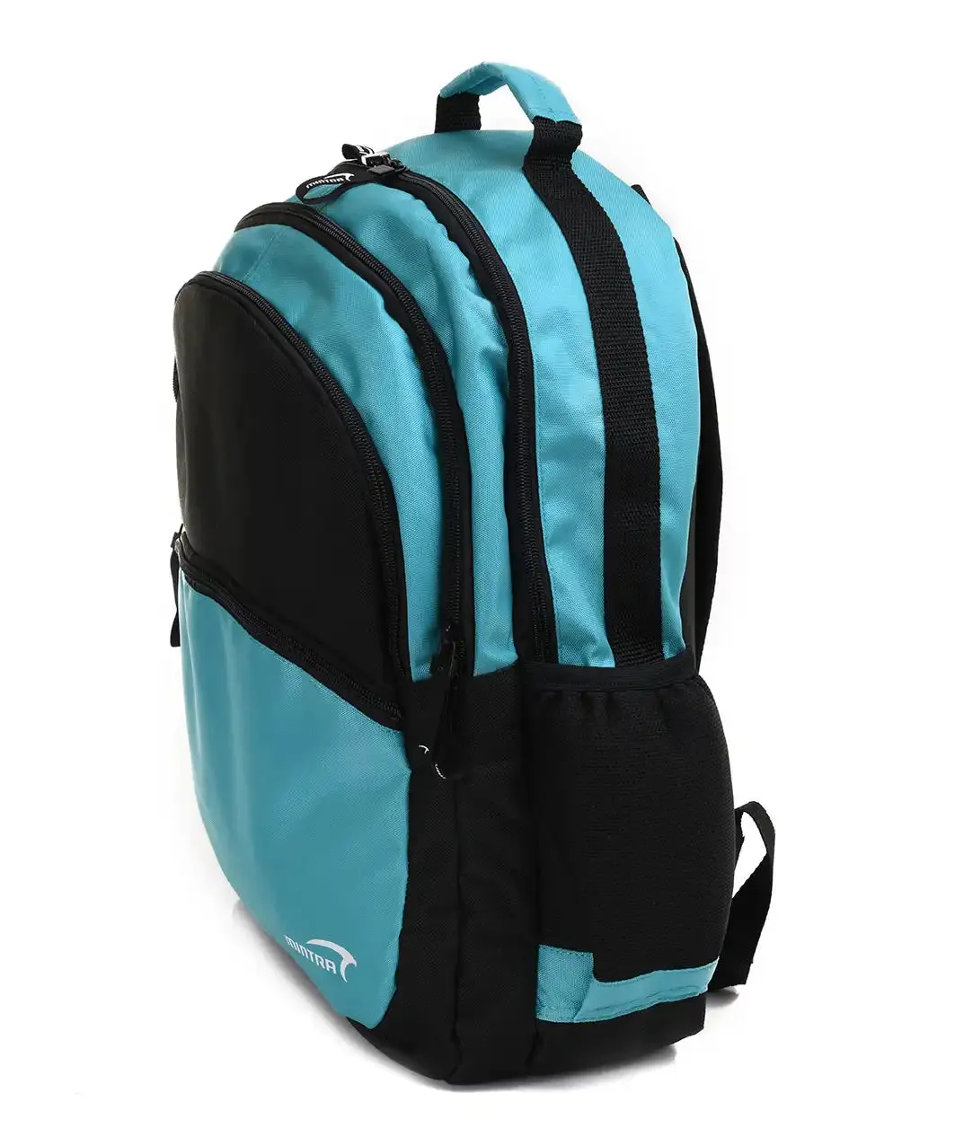 Essential Backpack (includes laptop compartment)