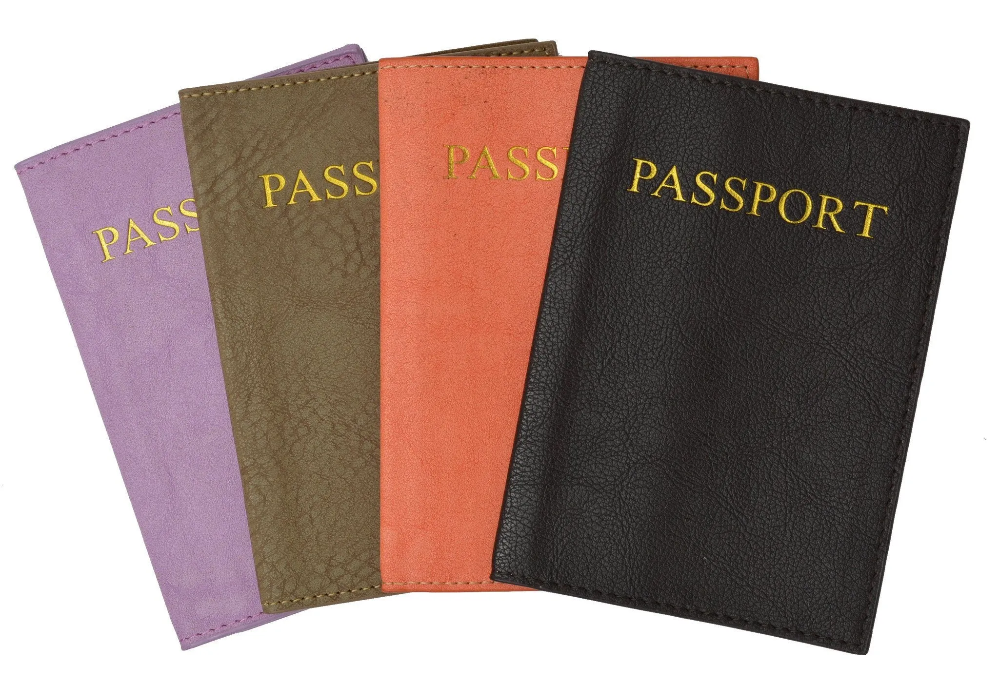 Passport Holder - Black